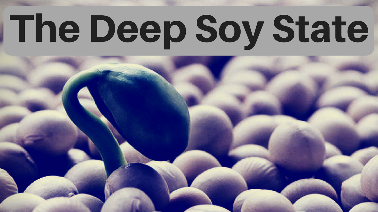the-deep-soy-state