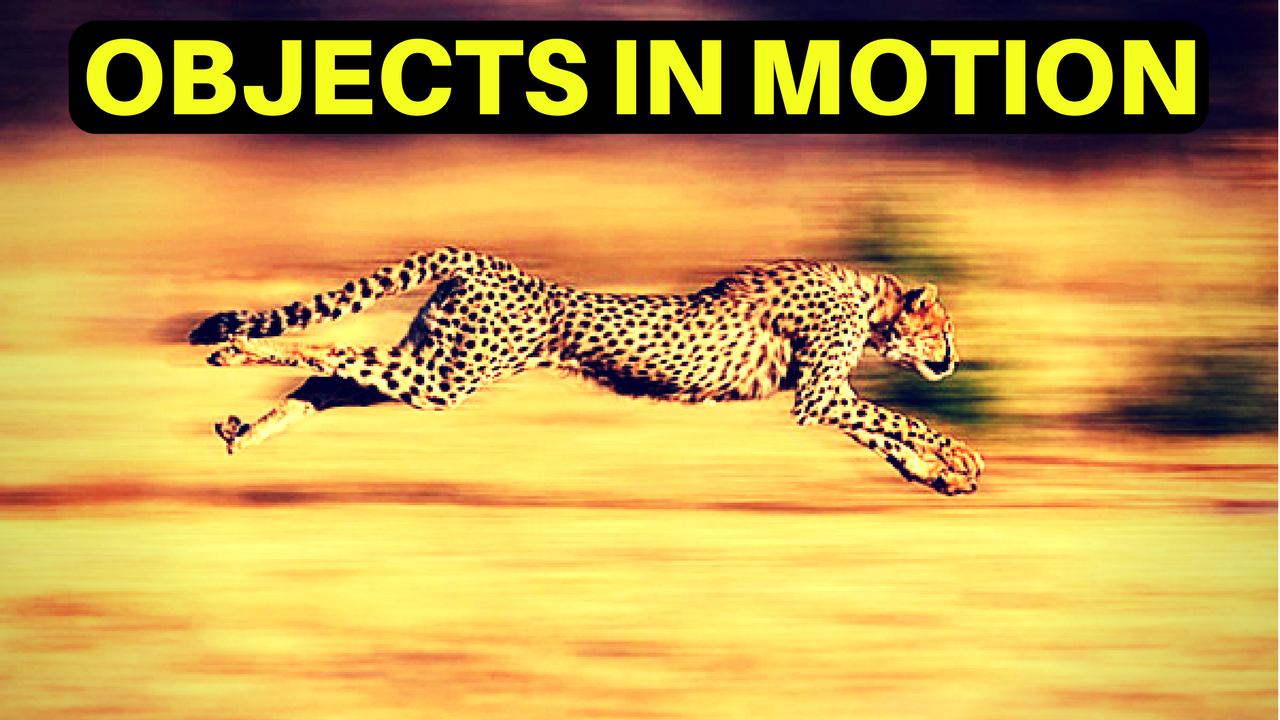 Which Causes An Object In Motion To Stay In Motion