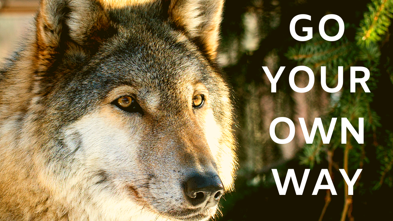 The Lone Wolf Mindset